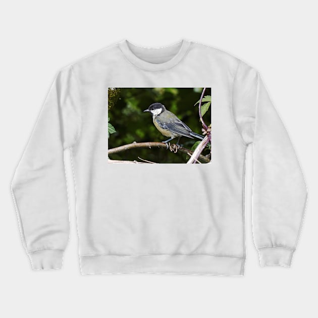 LE PANASONIC FZ 200 PAR OKAIO CRÉATION Crewneck Sweatshirt by caillaudolivier